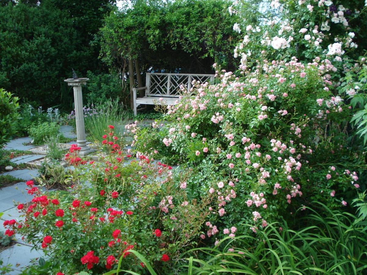 Newport House Bed & Breakfast Williamsburg Exterior photo